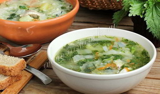 суп с крапивой на курином бульоне