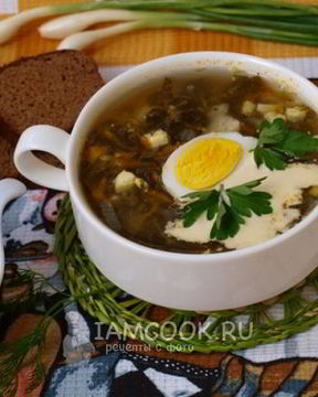 Зеленый борщ со щавелем на мясном бульоне