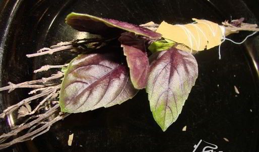 гарбюр — густой крестьянский суп с капустой