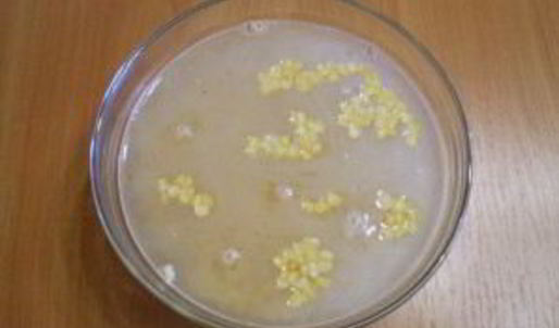 гороховый суп с курицей в мультиварке