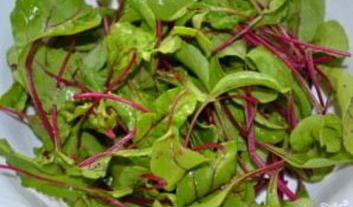 холодник с ботвой