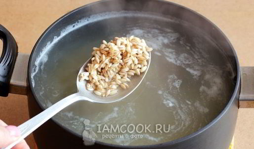 рассольник с томатом, перловкой и солеными огурцами