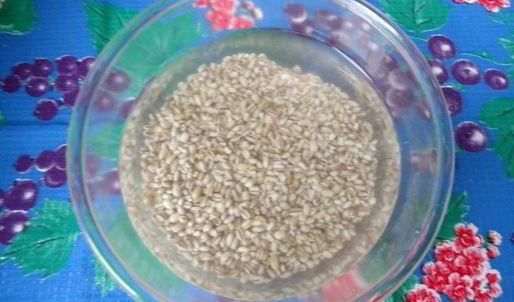 заготовка рассольника на зиму