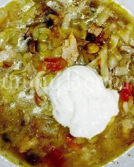 Рецепт куриных щей с грибами и лапшой