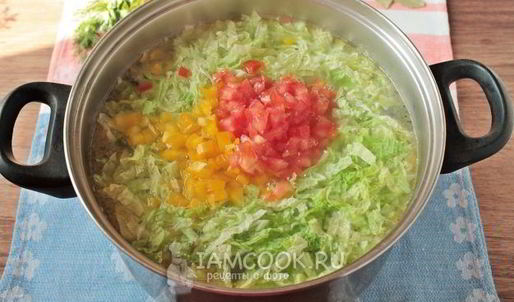 щи из пекинской капусты