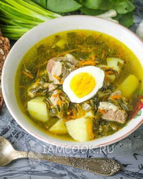 Щи из щавеля на мясном бульоне