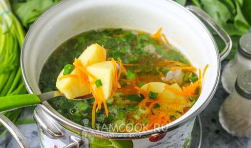 щи из щавеля на мясном бульоне