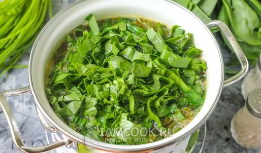 щи из щавеля на мясном бульоне