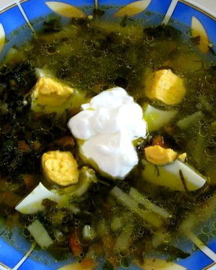 Рецепт щей из шпината