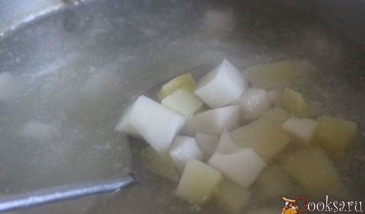 щи из свежей капусты с репой