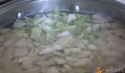 щи из свежей капусты с репой