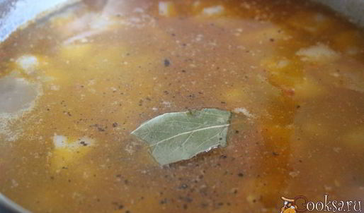 щи из свежей капусты с репой