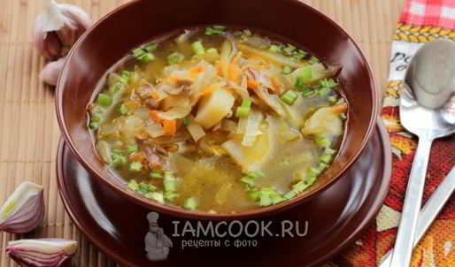 щи из свежей капусты в мультиварке