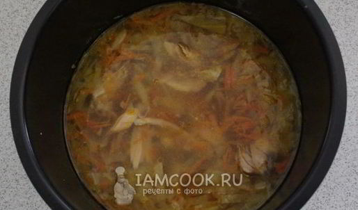 щи из свежей капусты в мультиварке