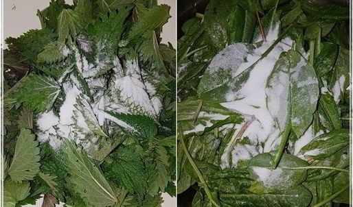 щи с крапивой, щавелем и говяжьими ребрышками