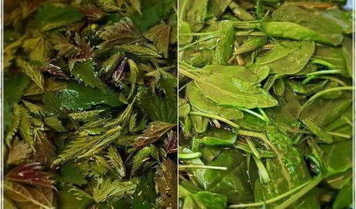 щи с крапивой, щавелем и говяжьими ребрышками