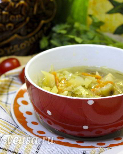 Рецепт щей с курицей и грибами