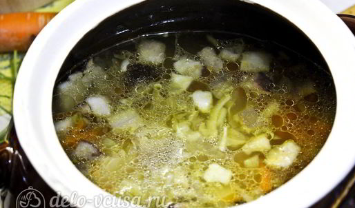 щи с курицей и грибами