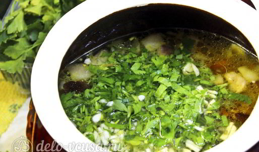 щи с курицей и грибами