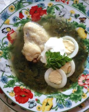 Щи зеленые с крапивой на курином бульоне