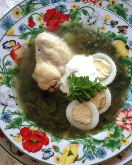 Рецепт щей зеленых с крапивой на курином бульоне