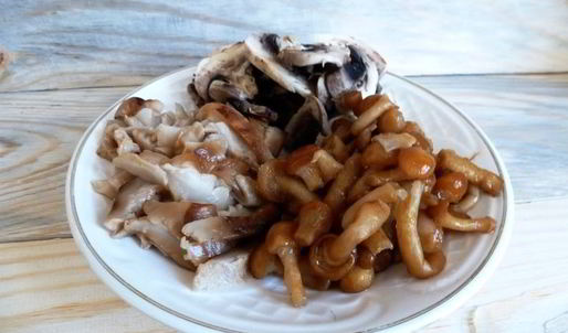 сборная грибная солянка