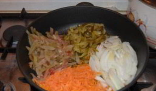 солянка казачья