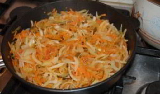 солянка казачья