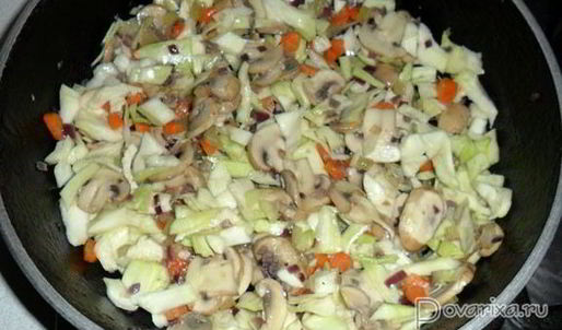 суп-солянка с грибами и капустой