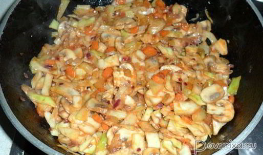 суп-солянка с грибами и капустой