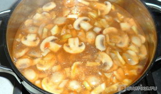 суп-солянка с грибами и капустой