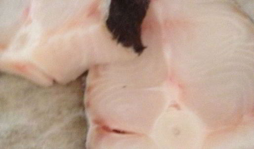 суп из палтуса по-восточному