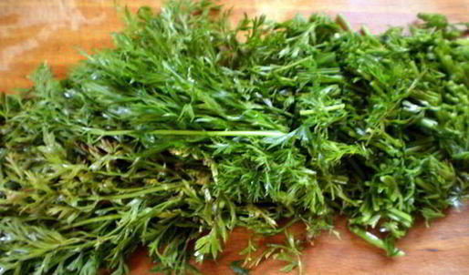 суп из свекольных листьев и морковной ботвы