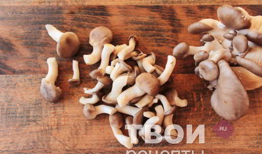 суп из вешенок