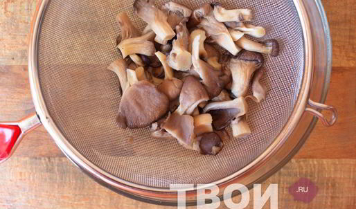 суп из вешенок