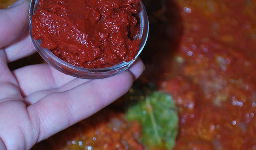 харчо со сливами