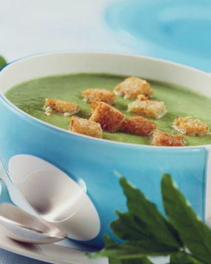 Рецепт супа-крема из шпината с чесночными крутонами