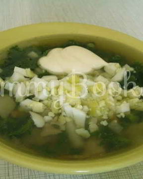 Суп весенний с крапивой