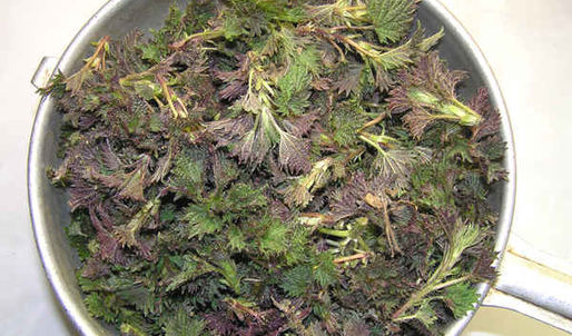 суп весенний с крапивой