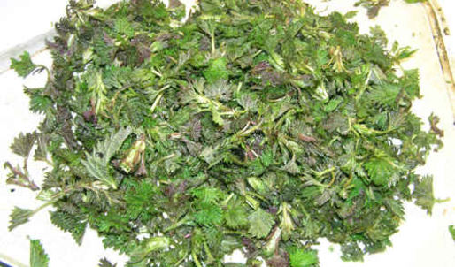 суп весенний с крапивой