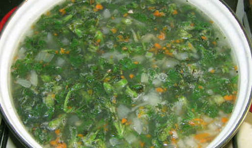 суп весенний с крапивой