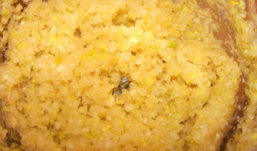 сырный суп с говяжьими ребрами