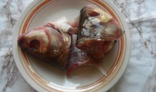 рыбный суп уха из леща