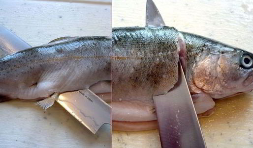 средиземноморская уха с гриссини жил отважный капитан