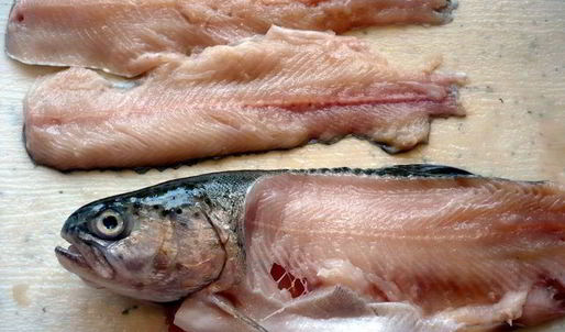 средиземноморская уха с гриссини жил отважный капитан