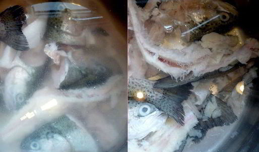 средиземноморская уха с гриссини жил отважный капитан