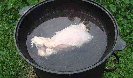 уха из карпа по-царски