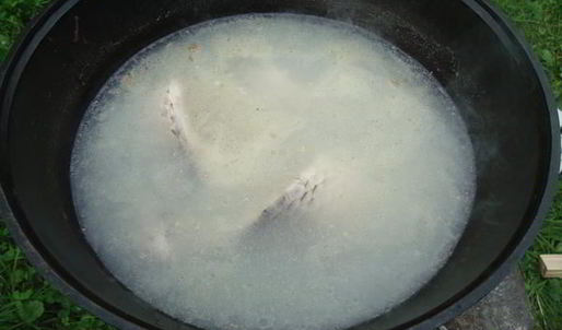 уха из карпа по-царски