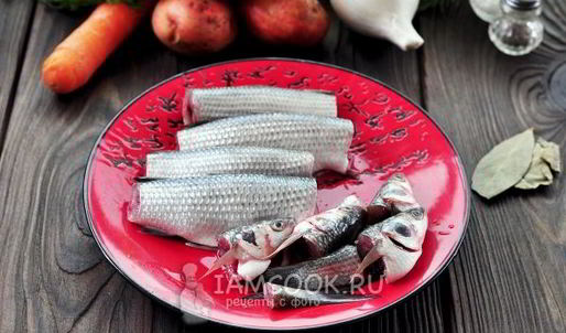 уха из кефали