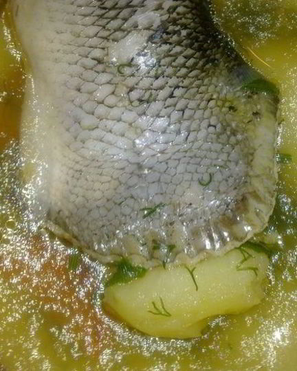 Рецепт уха из хвостов лосося